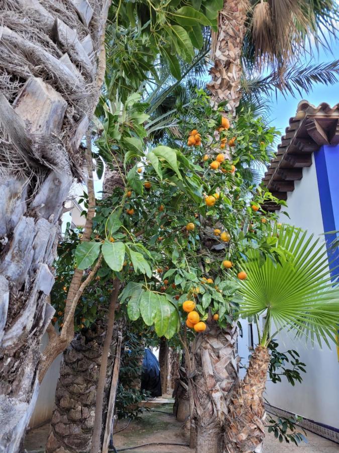 Apartament Dudek Torrevieja Kültér fotó
